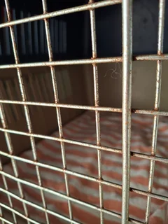 Pet travel cage