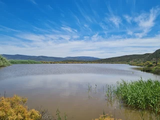 Abundance Of Water (611)