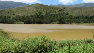 Productive &amp; Beautiful (616)