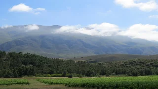 Productive &amp; Beautiful (616)