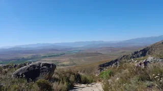 King Of The Hills (623)