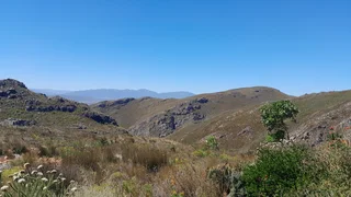 King Of The Hills (623)