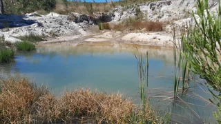 King Of The Hills (623)