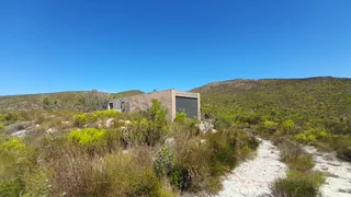 King Of The Hills (623)