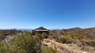 King Of The Hills (623)