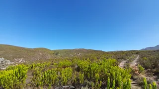 King Of The Hills (623)