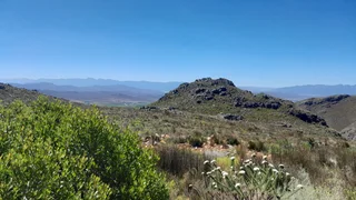 King Of The Hills (623)