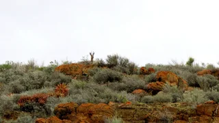 On Top Of The World (641)