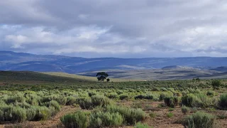 On Top Of The World (641)