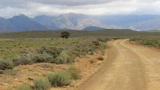 On Top Of The World (641)