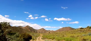 Natural Beginnings (642)