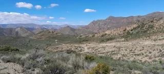 Natural Beginnings (642)