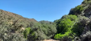 Natural Beginnings (642)