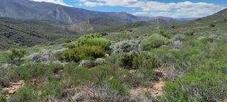 Natural Beginnings (642)