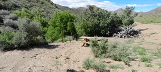 Natural Beginnings (642)