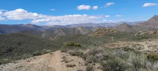 Natural Beginnings (642)