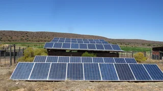 Greenheart Valley (645)