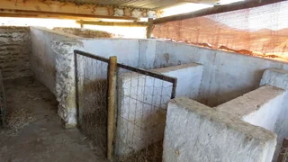 Greenheart Valley (645)