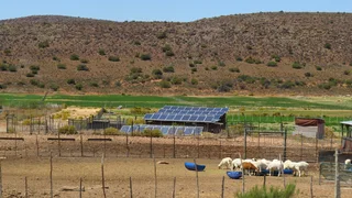 Greenheart Valley (645)