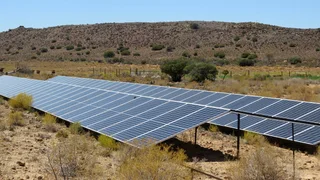 Greenheart Valley (645)