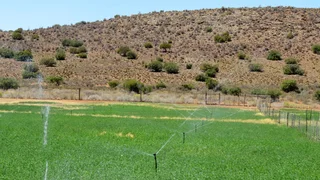 Greenheart Valley (645)