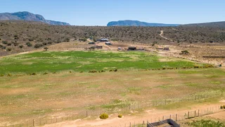 Greenheart Valley (645)