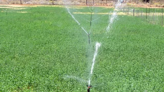 Greenheart Valley (645)