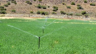 Greenheart Valley (645)