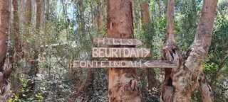 Gateway To High Places (646)