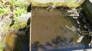 Gateway To High Places (646)