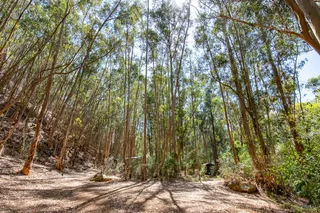 Gateway To High Places (646)