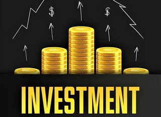 Investor  /  Backer  Needed