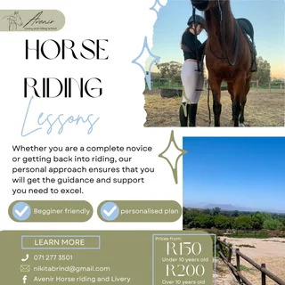 Horse riding lessons