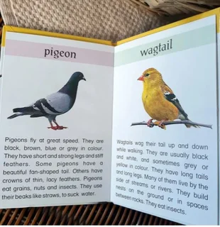 Kindergarten learners book for kids- Birds
