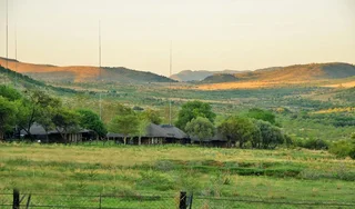 Bakubung Resort in Pilanesburg Game Reserve peak week 2-9 Jan 2026