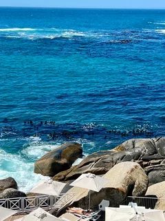 Bantrybay International Timeshare Cape Town " Wanted" To Buy Outright.