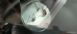 Mobile Windscreen Chip Repairs