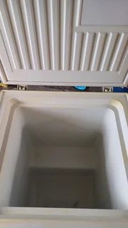 Deep Freezer and L shape couch