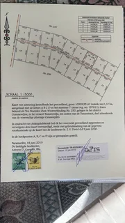 Vacant land for sale in the Amazon Jungle