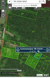 Vacant land for sale in the Amazon Jungle