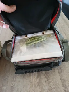 Bass Fishing Rod, Reel and tackle