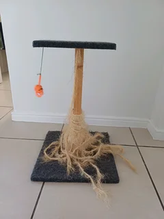 Cat Scratch Post