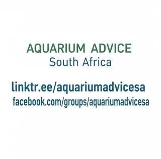 Aquarium/Fish/Shrimp For Sale