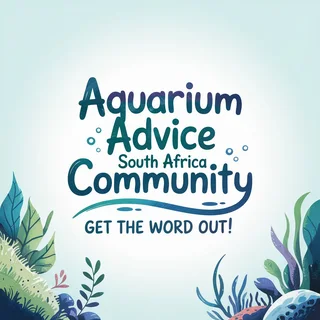 Aquarium/Fish/Shrimp For Sale