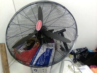 Fan for sale