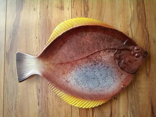 Sole Fish Serving Plate