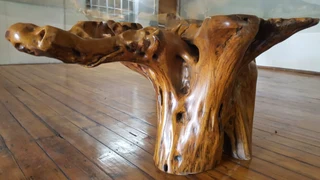 Wild Olive Dinning Table Set