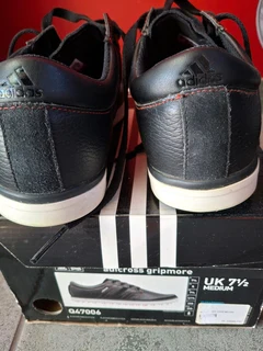 Golf Shoes Adidas Adicross