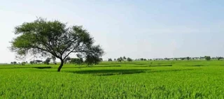 Property - Ad posted by hinature