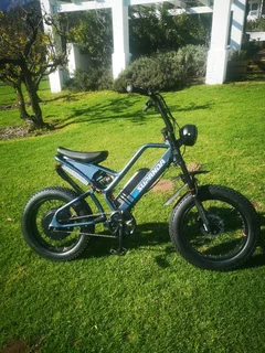 Superpanda Ebike